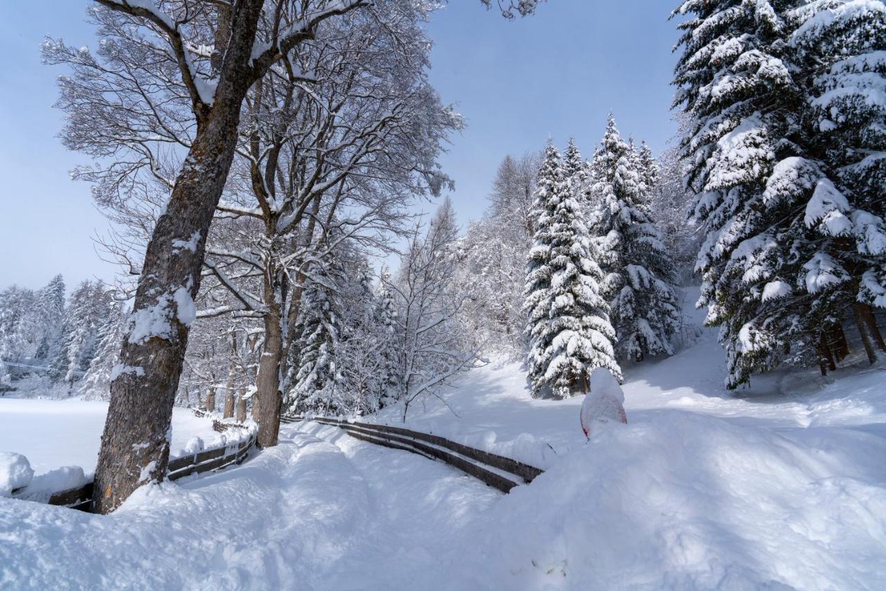 Chalet Traumblick Daire Mauterndorf  Dış mekan fotoğraf