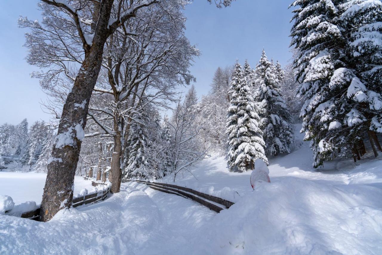 Chalet Traumblick Mauterndorf  Dış mekan fotoğraf