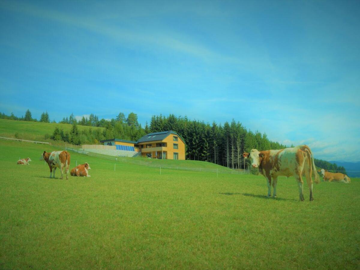 Chalet Traumblick Mauterndorf  Dış mekan fotoğraf